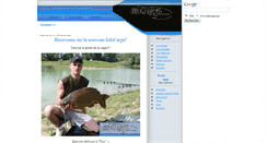 Desktop Screenshot of infocarpe.net